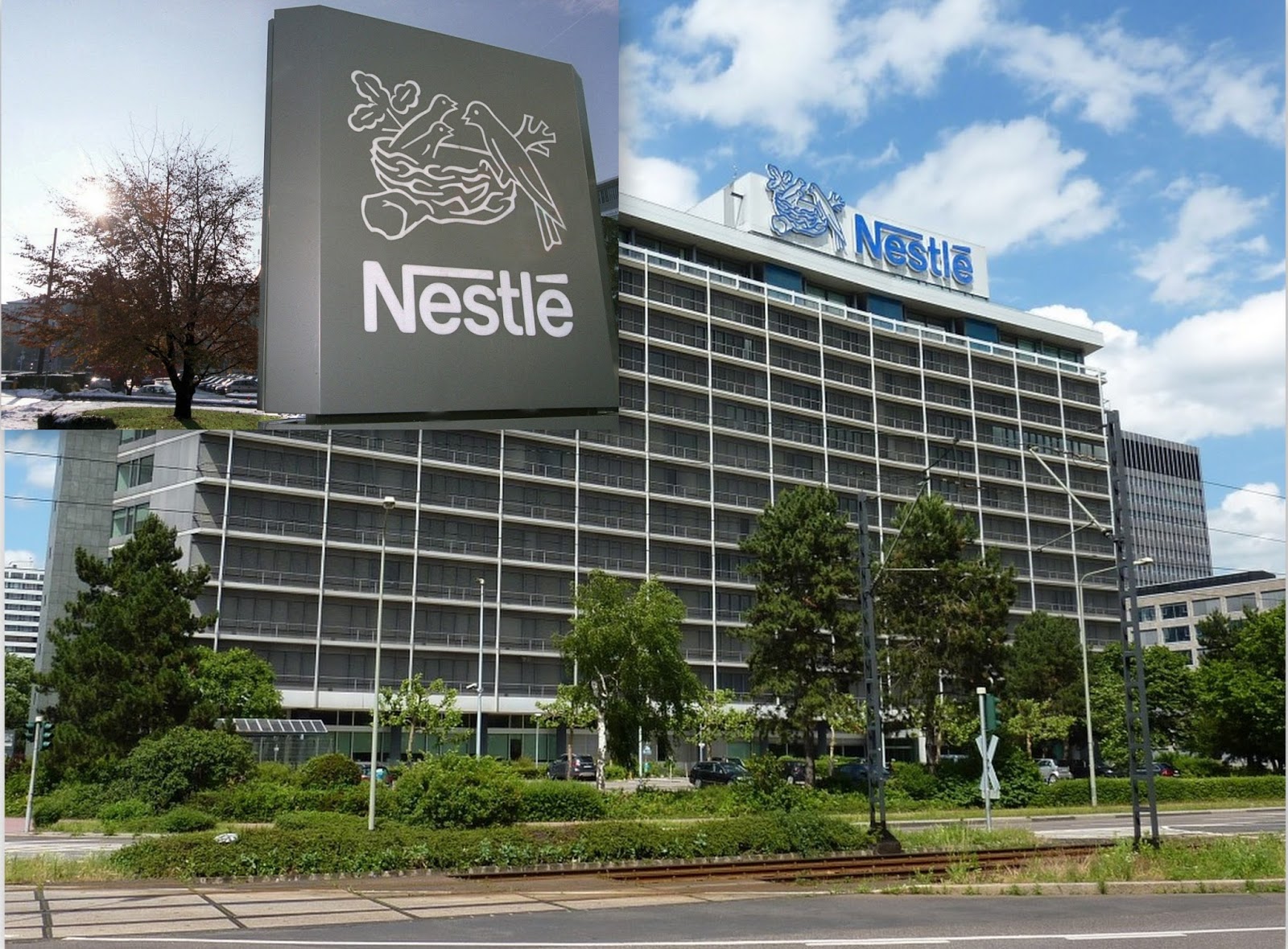 Nestle new